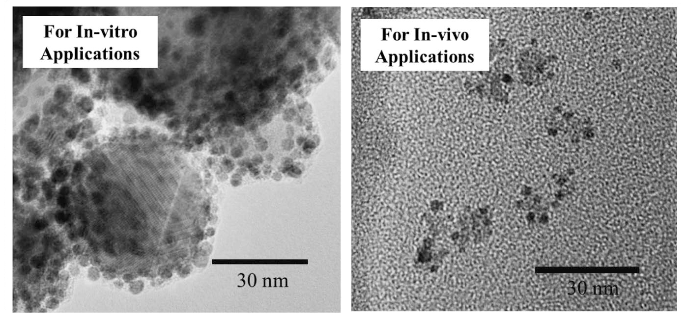 Customized Au/Iorn-ozide composite nanoparticles for each application.
